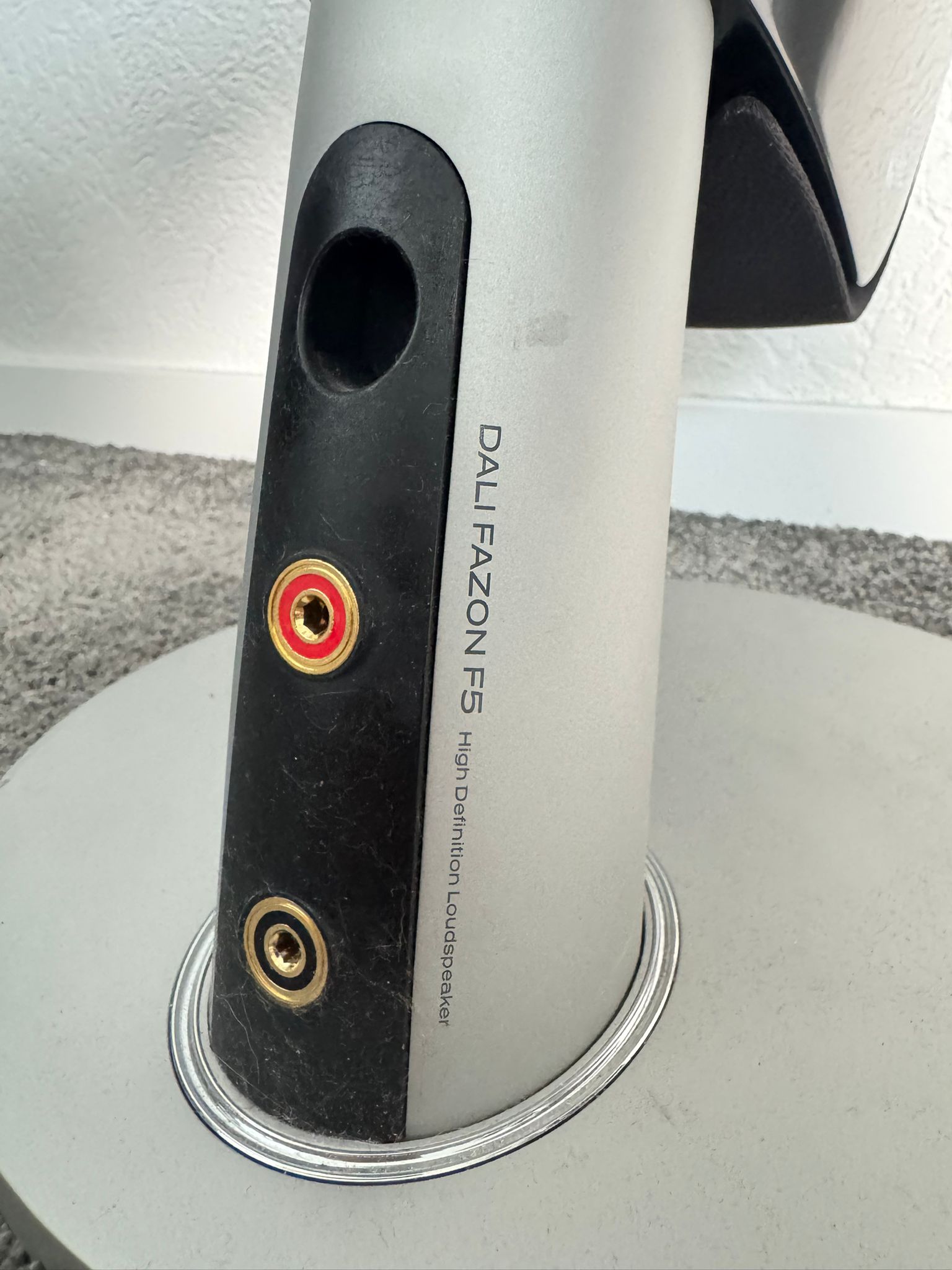 DALI Fazon F5 speakers 30th Anniversary airbrush 6