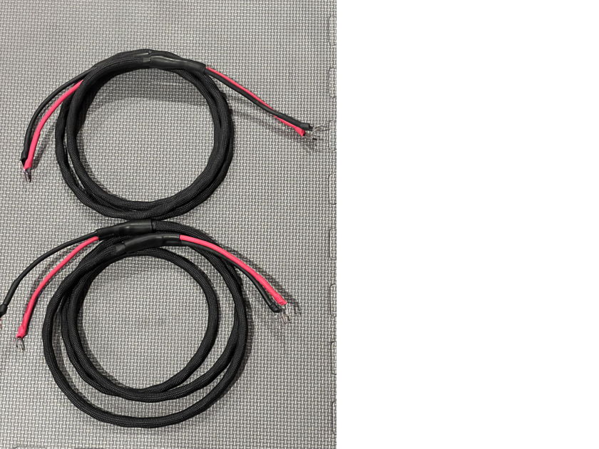 DCA10GA Speaker Cables For Sale Audiogon