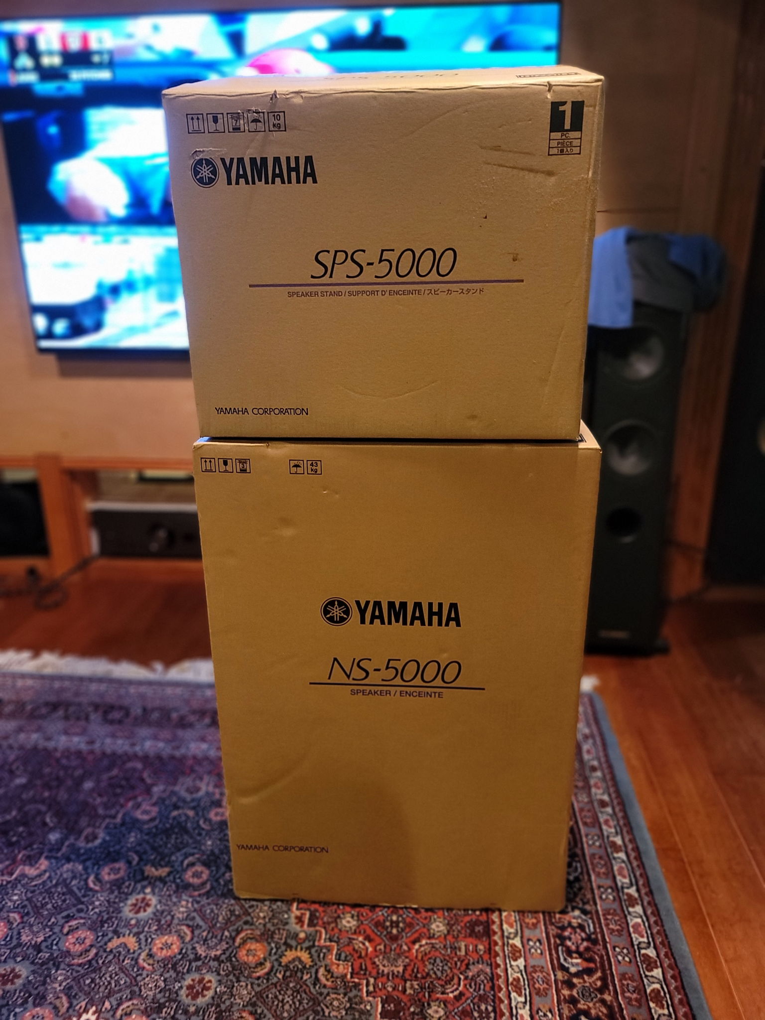 Yamaha  NS-5000 14