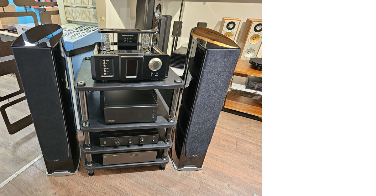 AMPLIFIERS Electric 1冊 [34614] Western