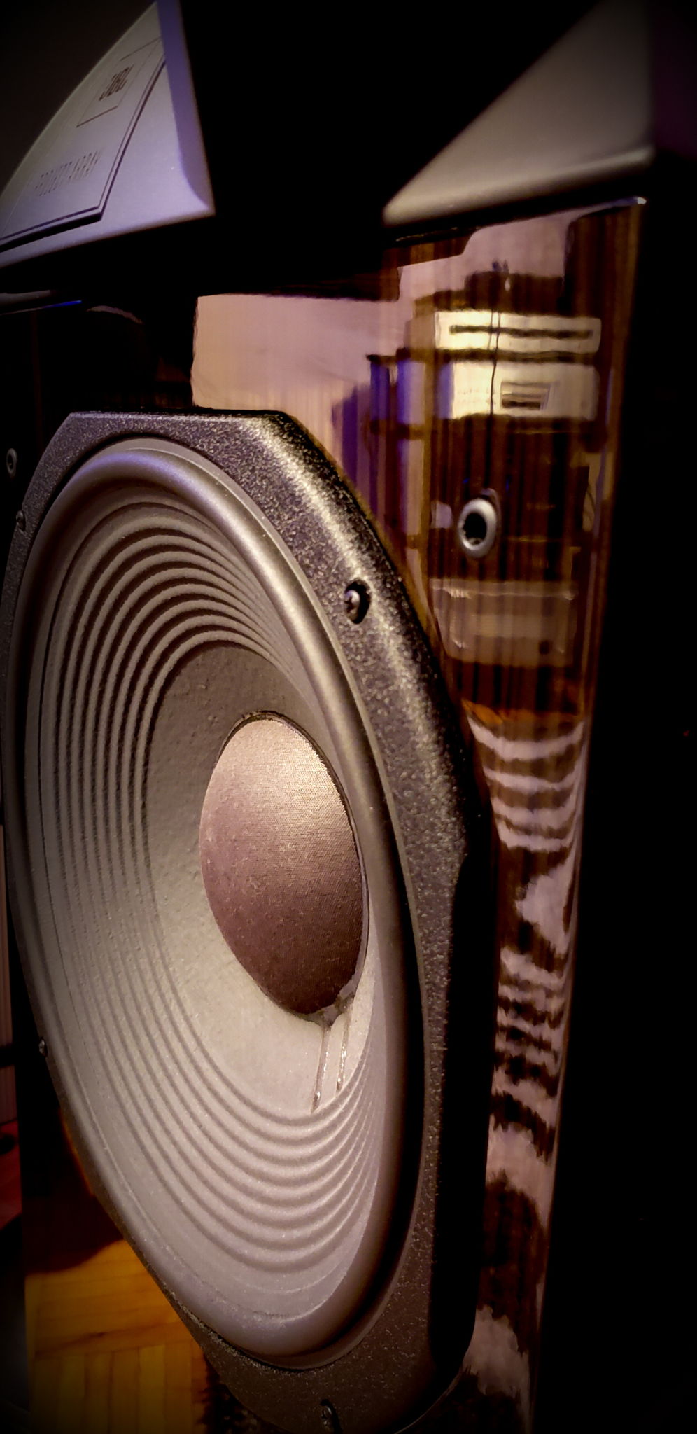 The components reflected in the speaker