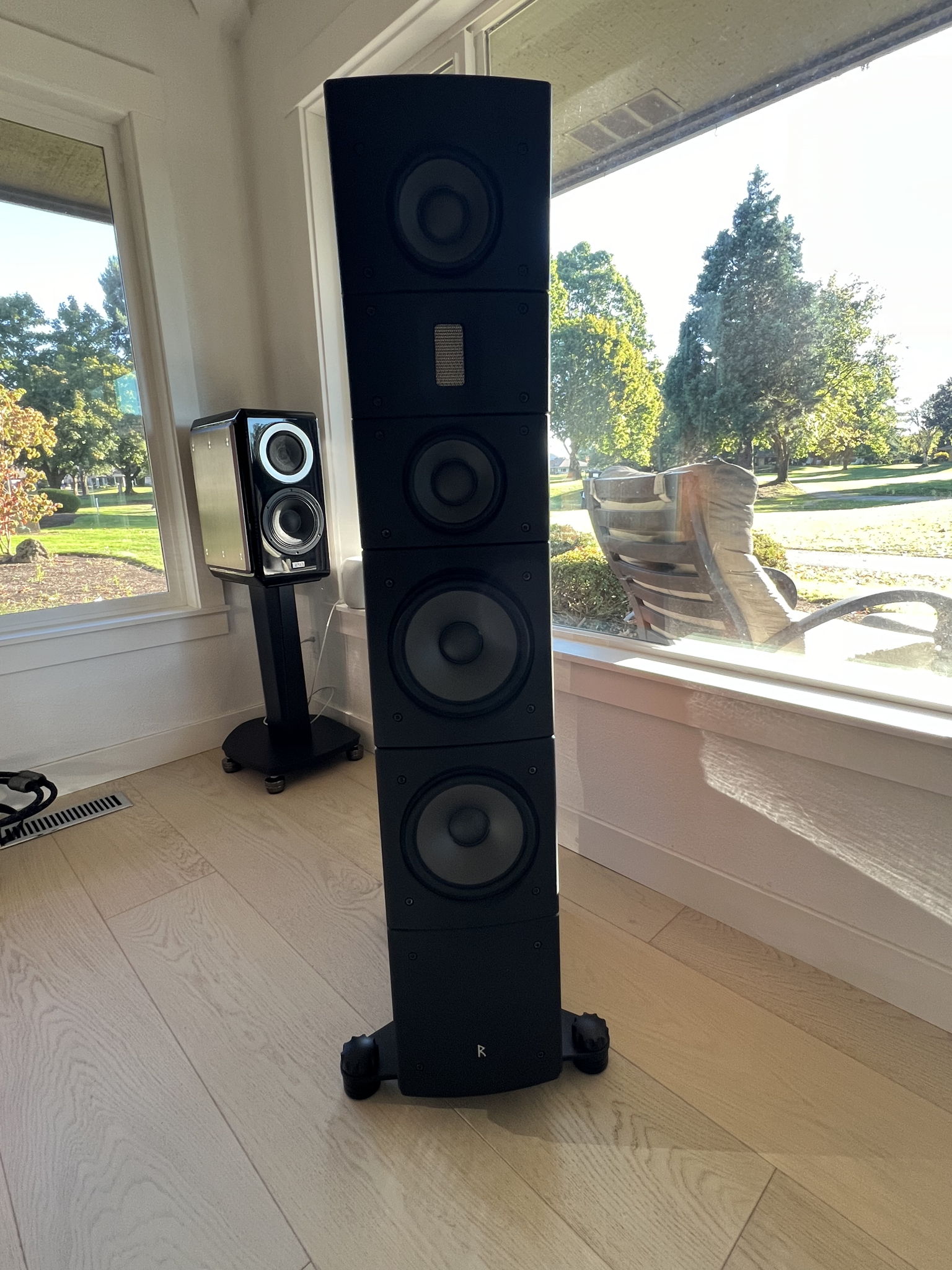 Raidho Acoustics TD 3.8's 7