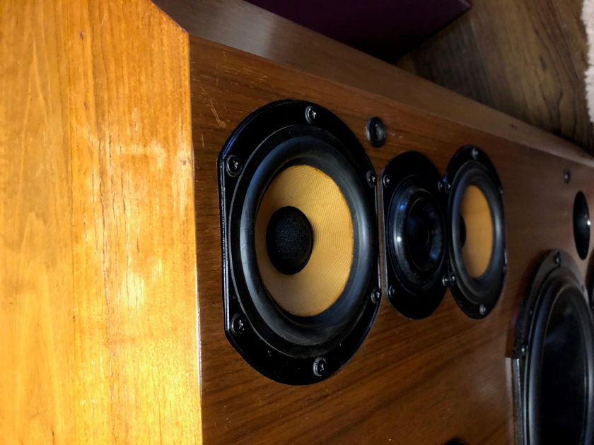 B&W (Bowers & Wilkins) 808: Rare & extraordinary speakers priced to sell