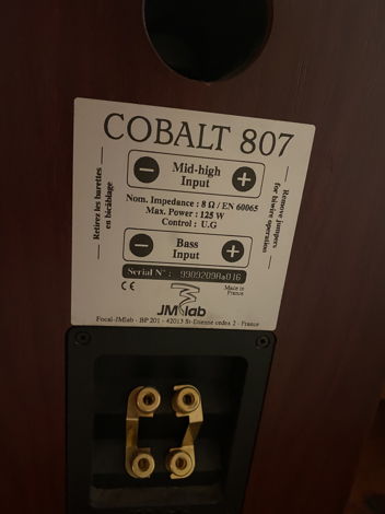 JM Lab Cobalt 807