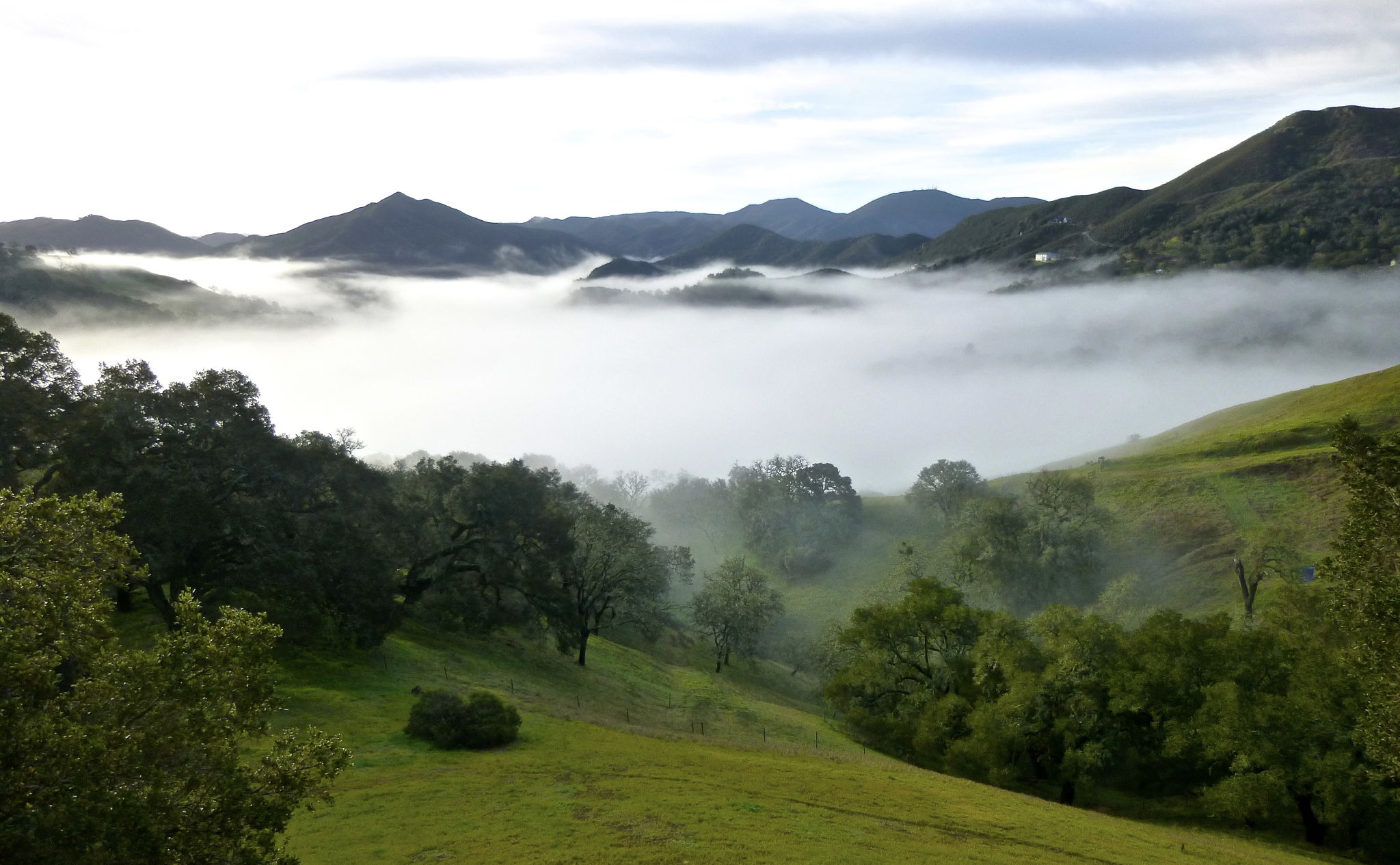 The view in winter fog.