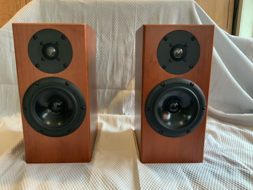 Totem rainmaker speakers for sale discount