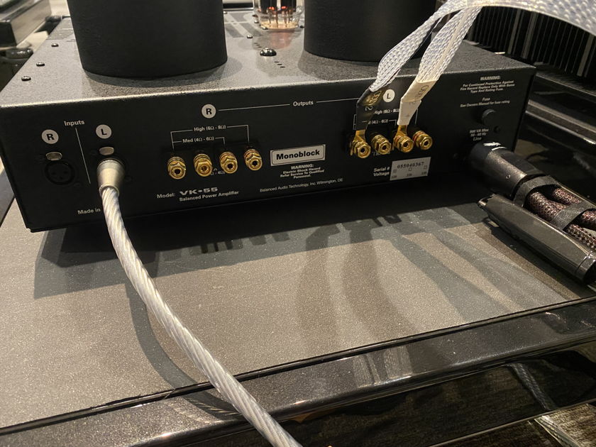 BAT VK-55SE Amplifier (Pair, converted to Monoblocks by BAT - EXTRA NOS TUBES) - PRICE DROP!