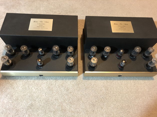 Golden Tube Audio SE40 Special Edition