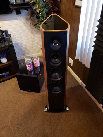 Sonus Faber Venere 3.0 In Walnut Finish