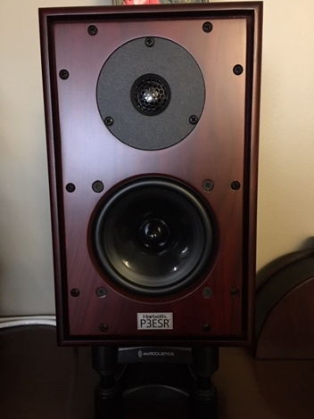beautiful rosewood (price upgrade), on IsoAcoustic stand