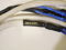 Signal Cable Bi-wire 6ft cables 2