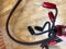 AudioQuest Redwood Speaker Cables 8 ft. Single Bi-Wire ... 5