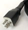 JPS Labs THE DIGITAL AC 2-Meter 2M AC Power Cord Cable 3