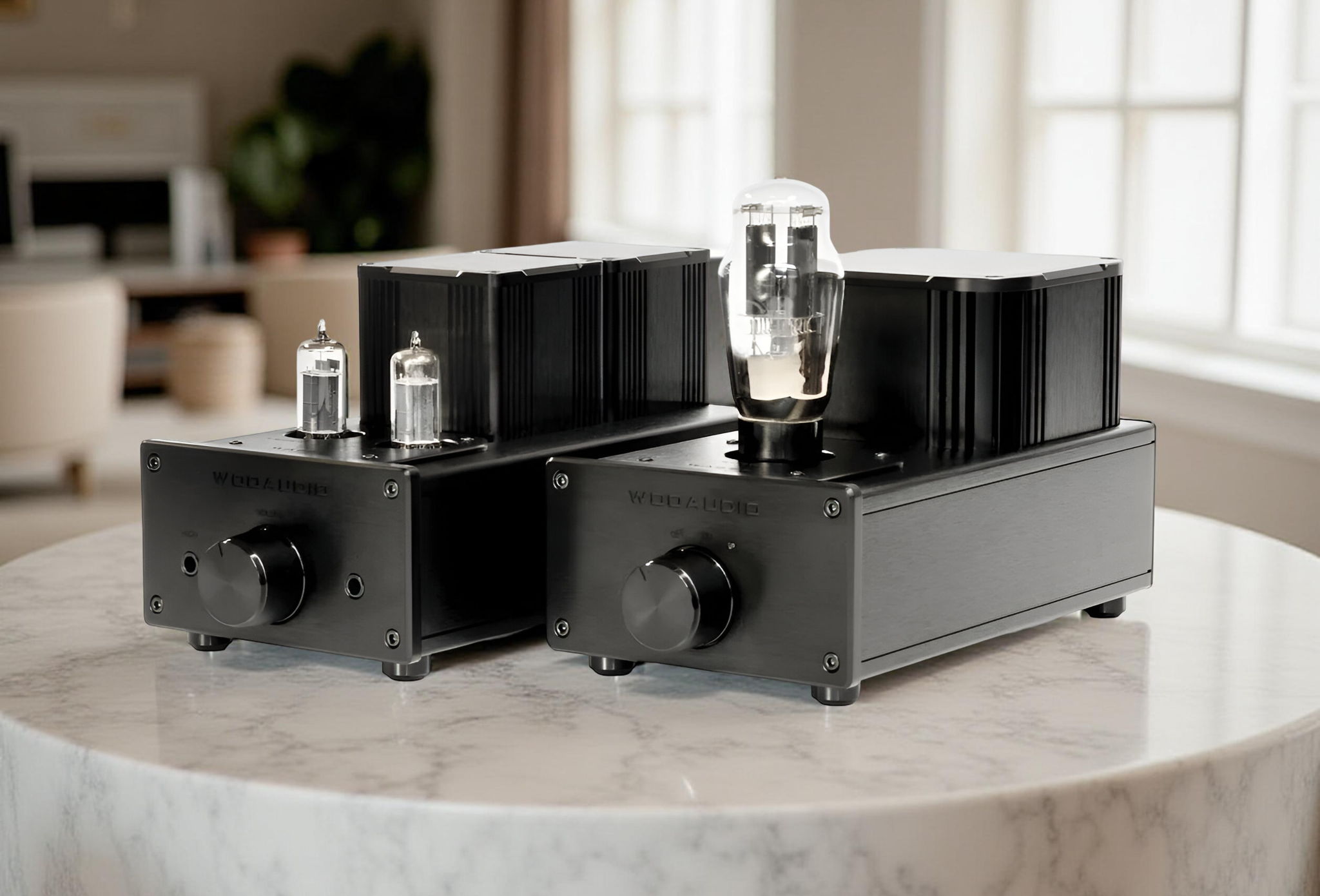 Woo Audio WA6-SE Special Edition Headphone Amplifier - ...