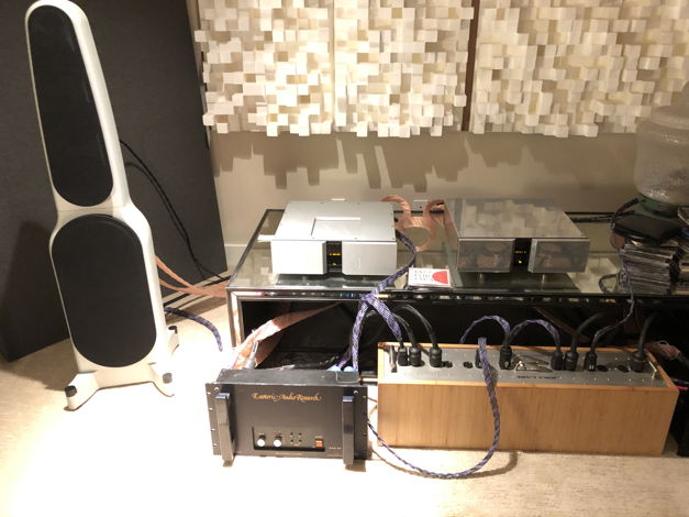 Esoteric Audio Research 549 Monoblock Amplifiers EXTREM...