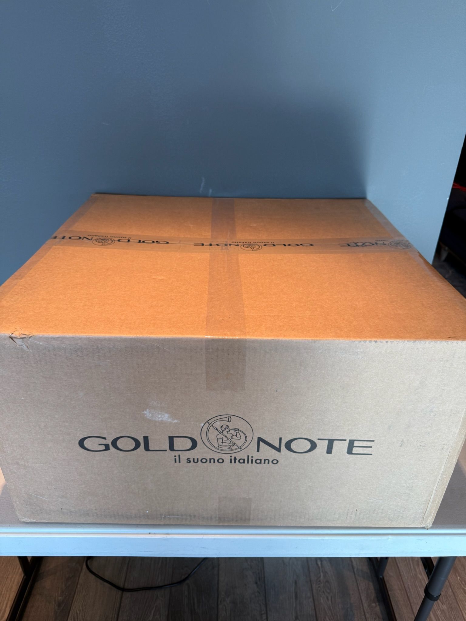 GOLD NOTE DS-1000 EVO DAC/AMP! 11