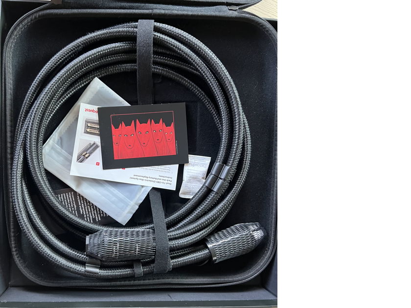 AudioQuest Dragon 2 Meter "SOURCE" Power Cable $4000