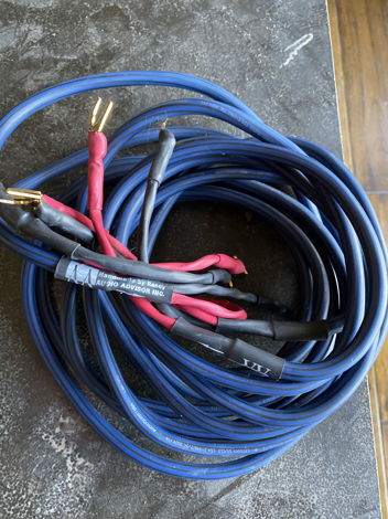 Audio Advisor Speaker cables