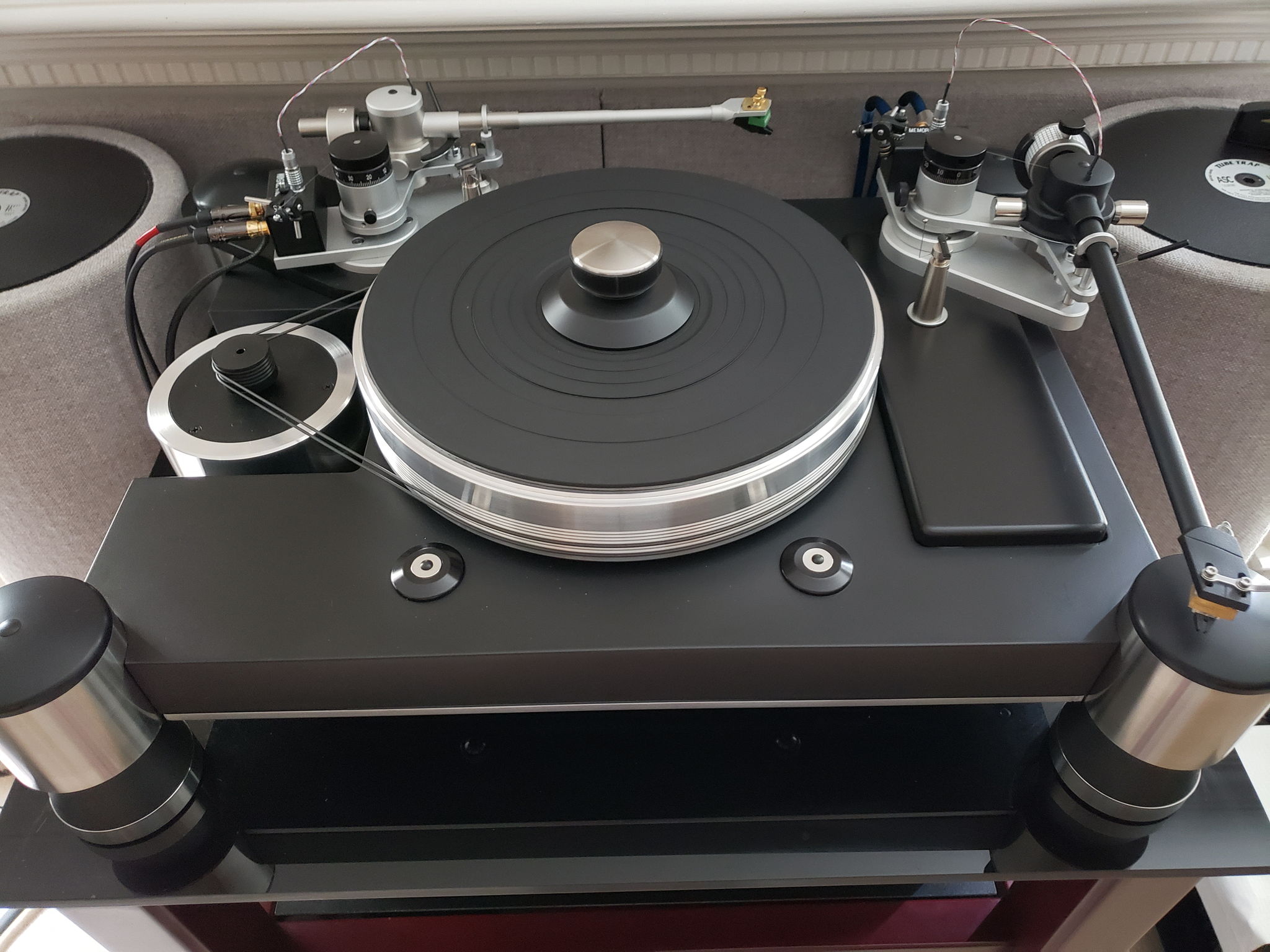 Modified TNT with 2-arms & bolted aluminum constraining layer with viscoelastic damping  