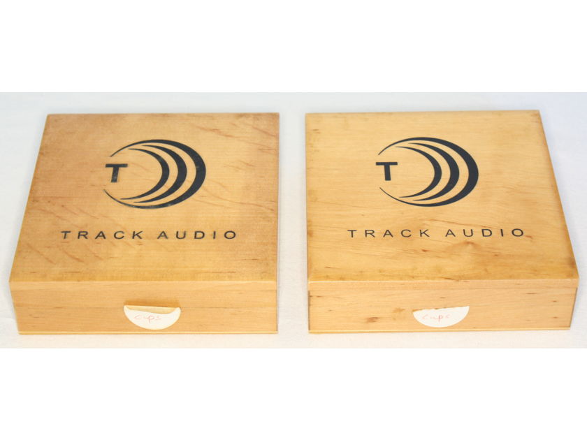 Track Audio Spike Shoes