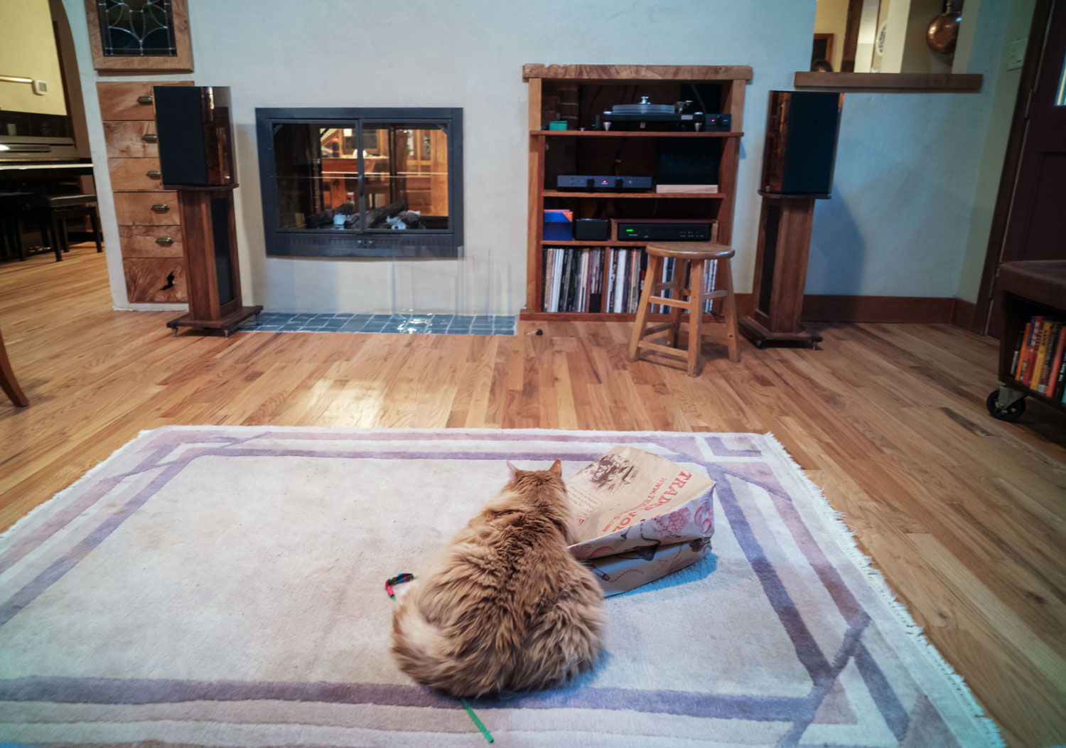 Our audiophile cat