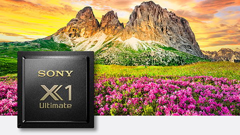 Sony's MASTER Series OLED  65" & 77" OLED TV's