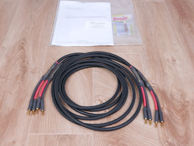 Audience Maestro audio speaker cables 2,5 metre