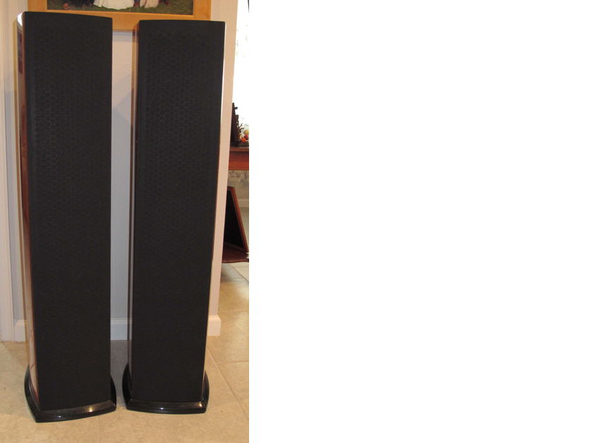 Aerial Acoustics 7T speakers. PRICE LOWERE For Sale Audiogon