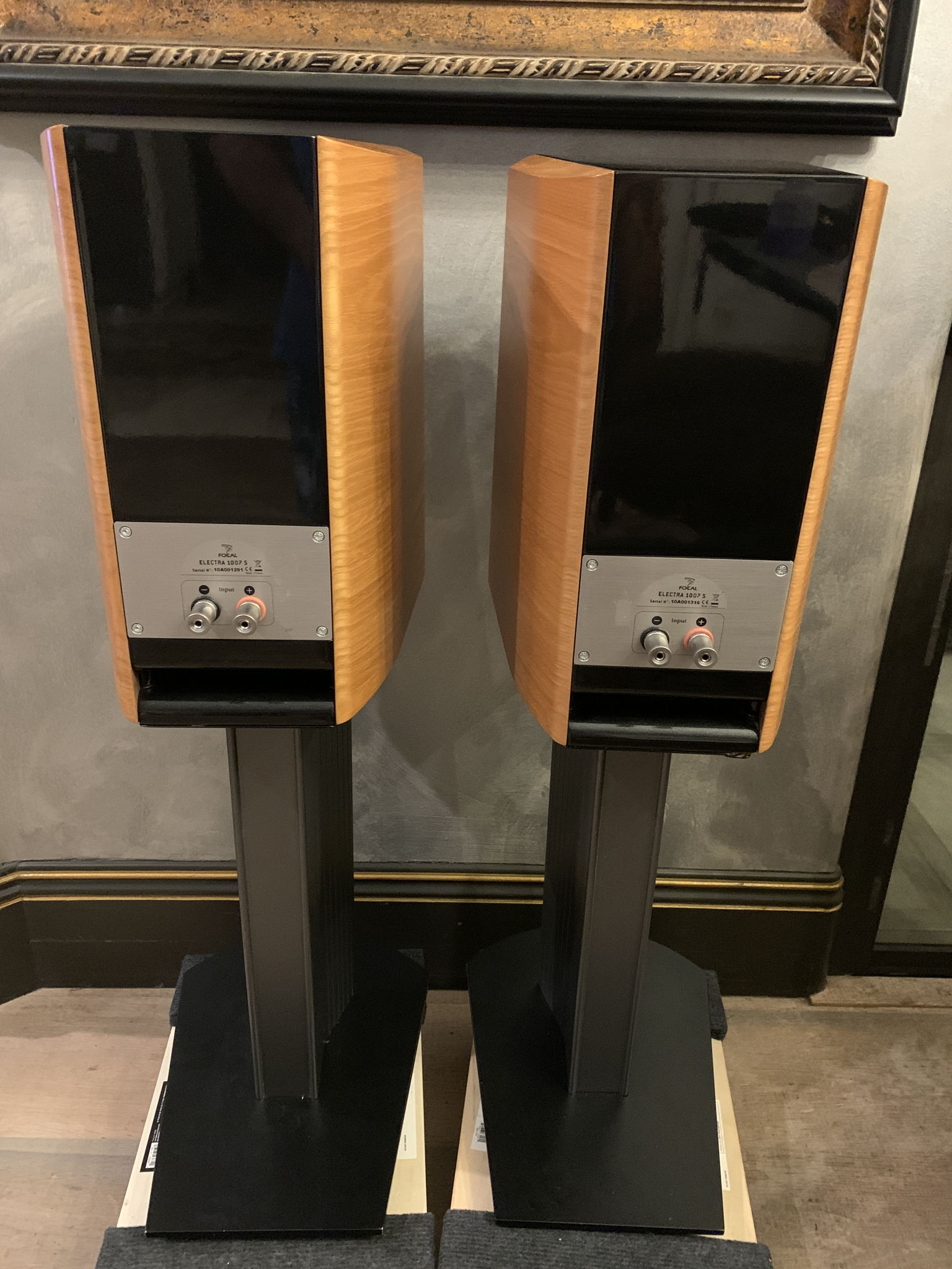 Focal Electra 1007s  and matching stands 11