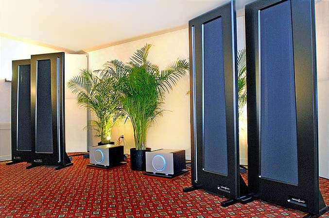 Analysis Audio Epsilon speakers beautifully finished in... 5
