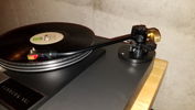 12" Jelco 750 with ExpressimoAudio brass rear stub and counterweight and Ammonite collar.