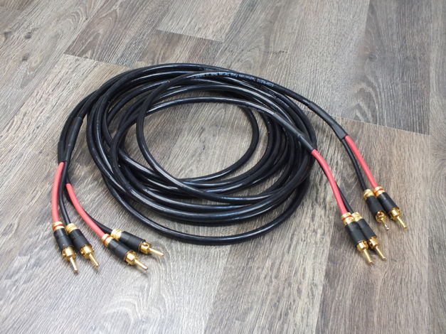 Sign Audio Pass Series speaker cables 4,0 metre