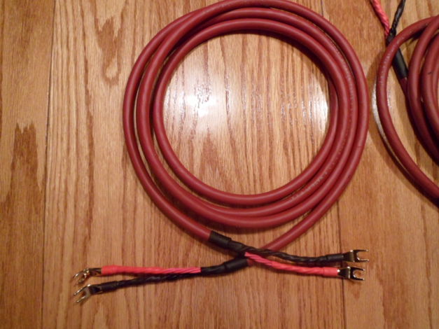 Straightwire  "STAGE" 10 ft. Speaker cables