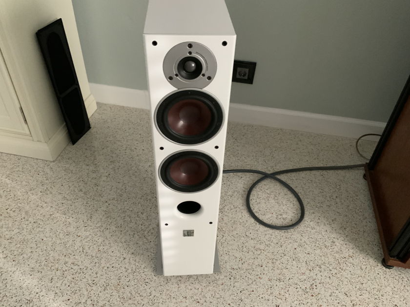 DALI Zensor 5 Floorstanding Speakers Very Nice!! | Full-Range