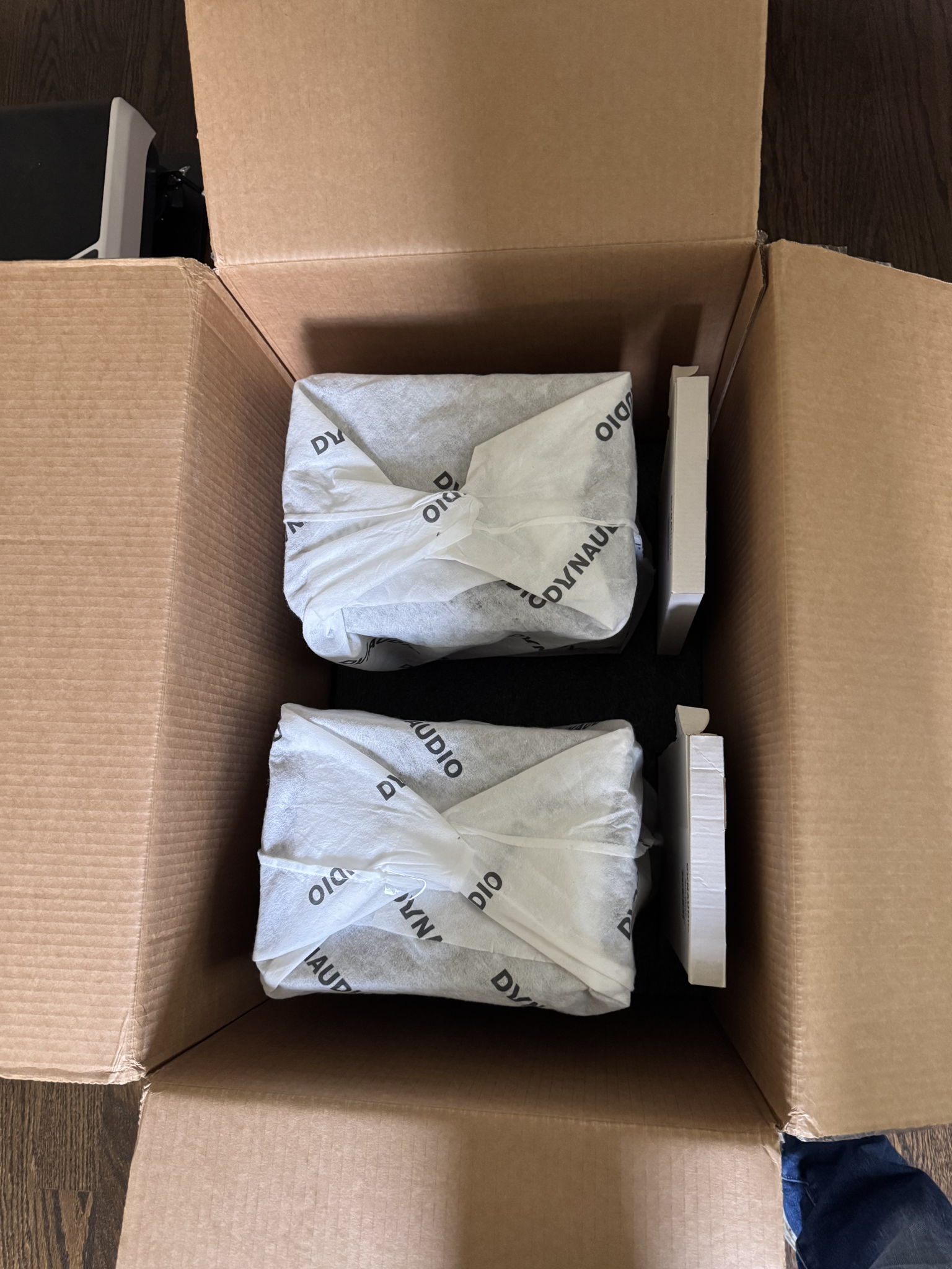 Dynaudio  Special 40 2