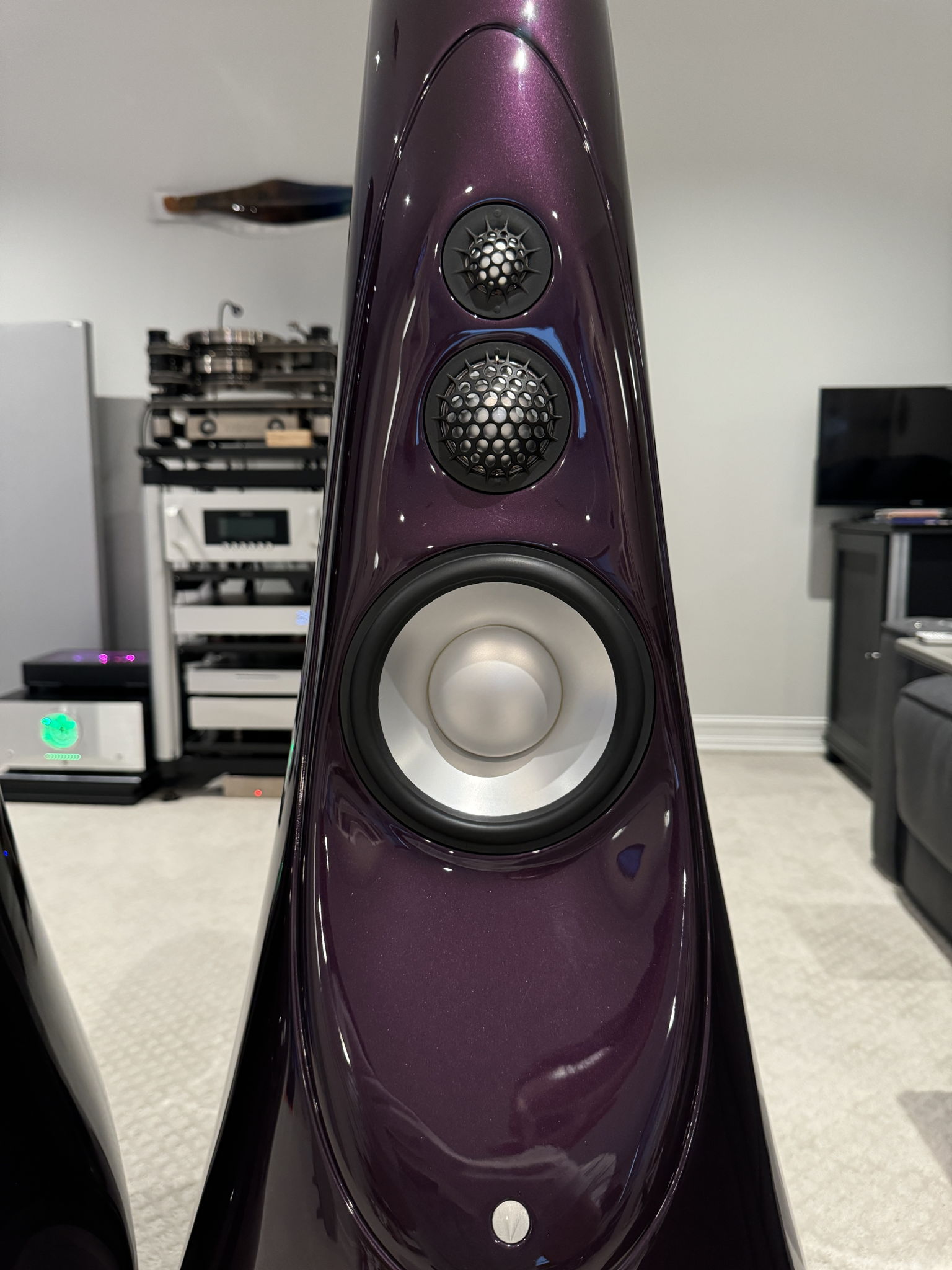 Vivid Audio GIYA G2 Series 2 -- Excellent (see pics) 8