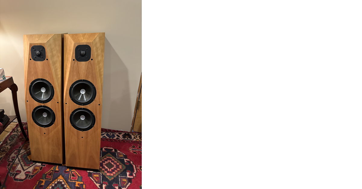 Avalon Ascendant Speakers For Sale Audiogon