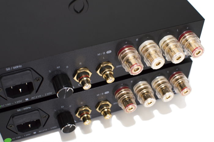 Calyx Femti stereo or monoblock amplifiers ICEpower
