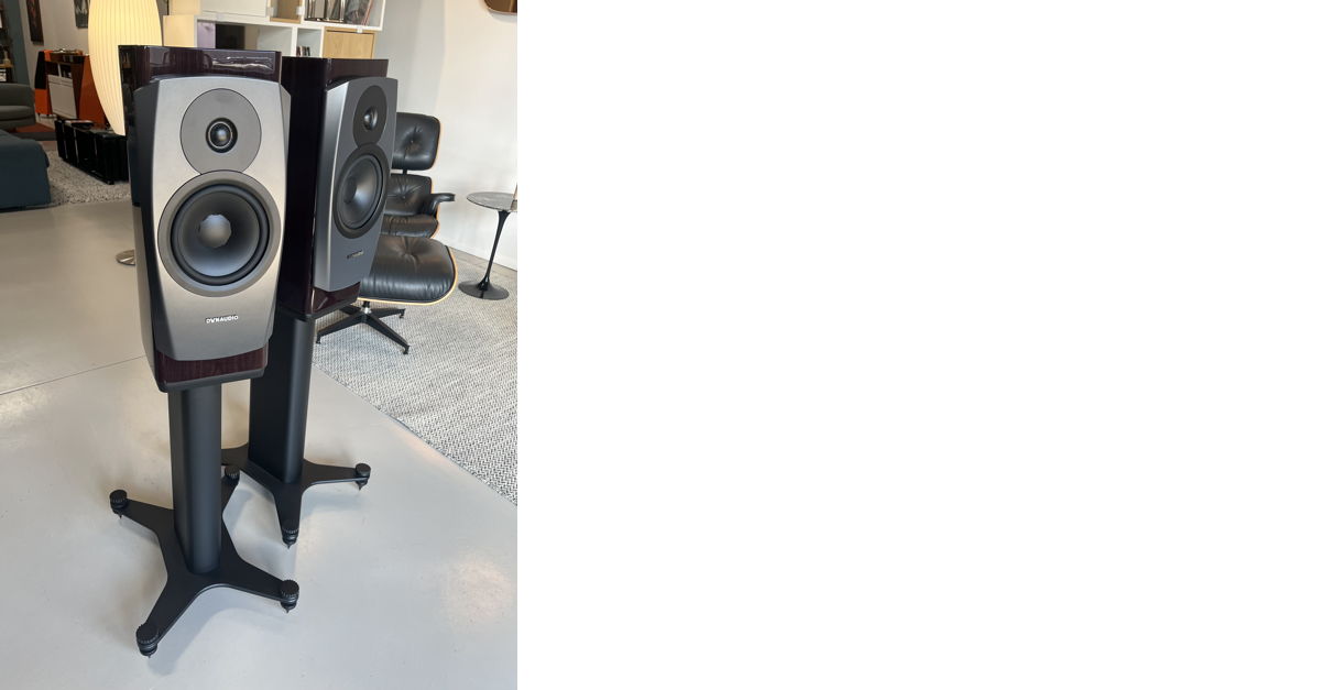 Dynaudio confidence 20 review top