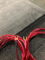 ANTICABLES 3.1 Speaker Wires 8ft 2