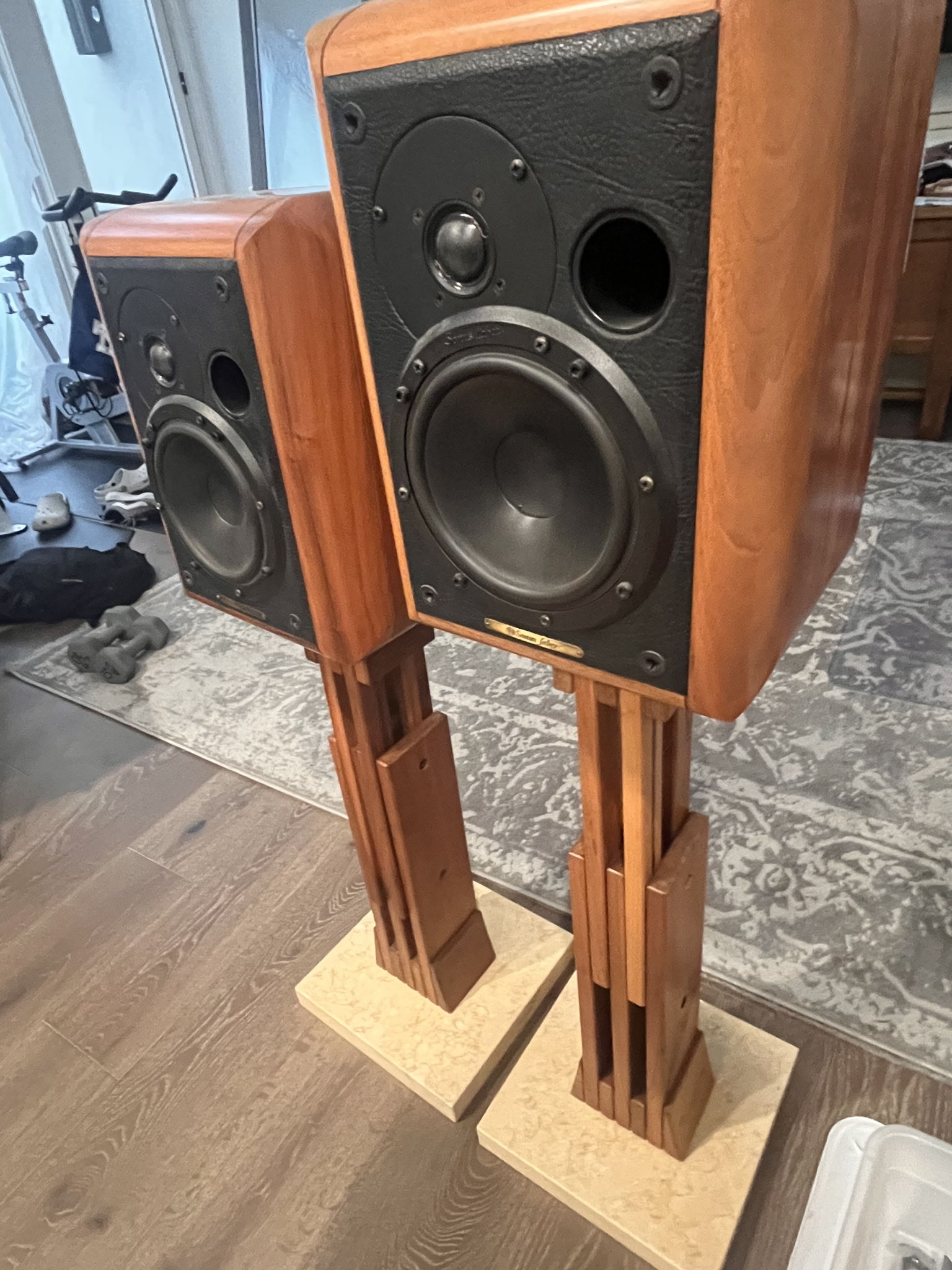 Sonus faber hot sale electa for sale