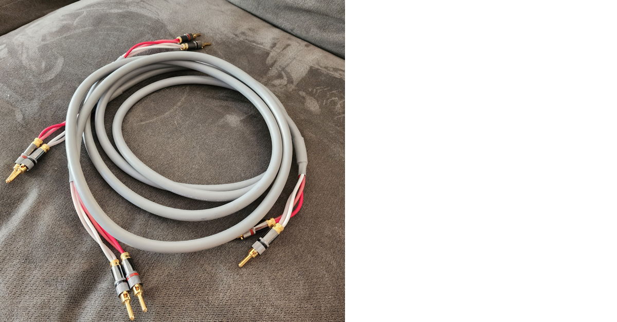 Blue Jeans Cable Canare 4S11 Speaker Cable... For Sale Audiogon