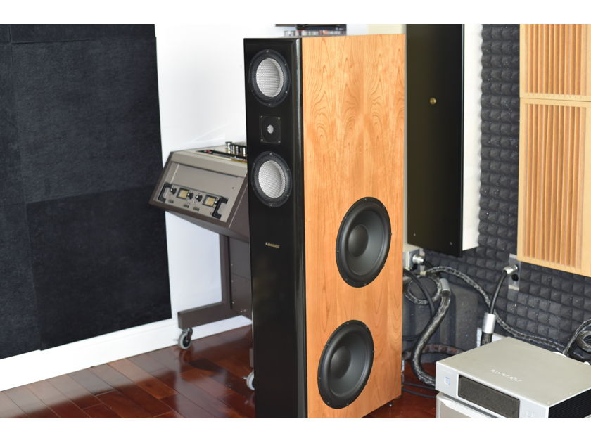 Coincident Speaker Technology Total Victory VI Pure Reference MKII