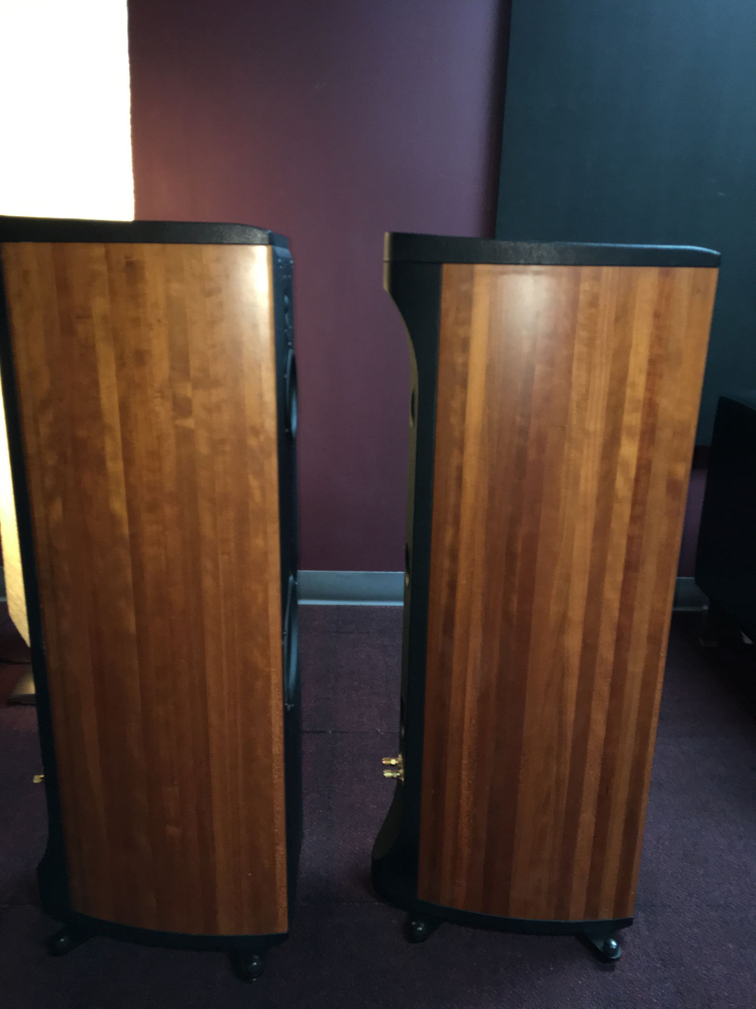 Sonus Faber Liuto Chestnut 4