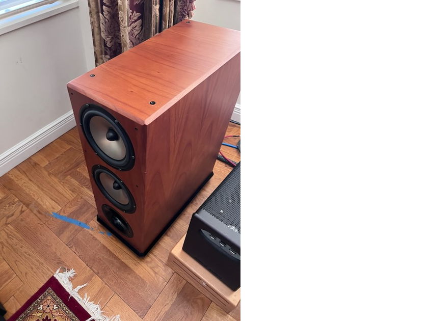 Von Schweikert audio VR4 SR MK speakers. these were the last versions made…the unofficial MK