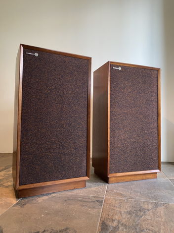 Vintage Rectilinear III Speakers