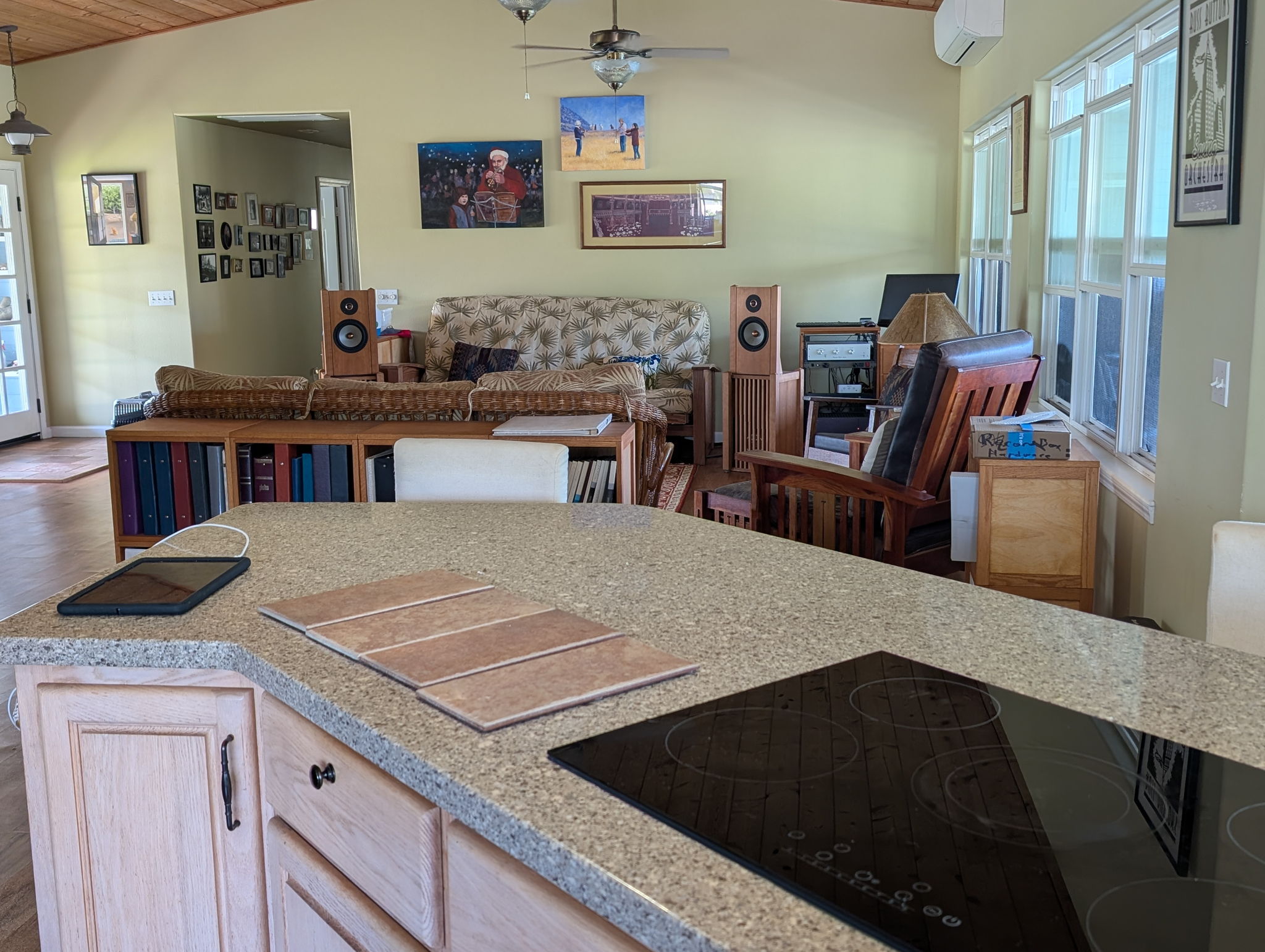 The system resides in a "great" room, which is 42'x32'x12'.  The Linkwiz Orions have no problem delivering full orchestral levels in that room.  I get to cook dinner and listen to music at the same time.  Paradise!