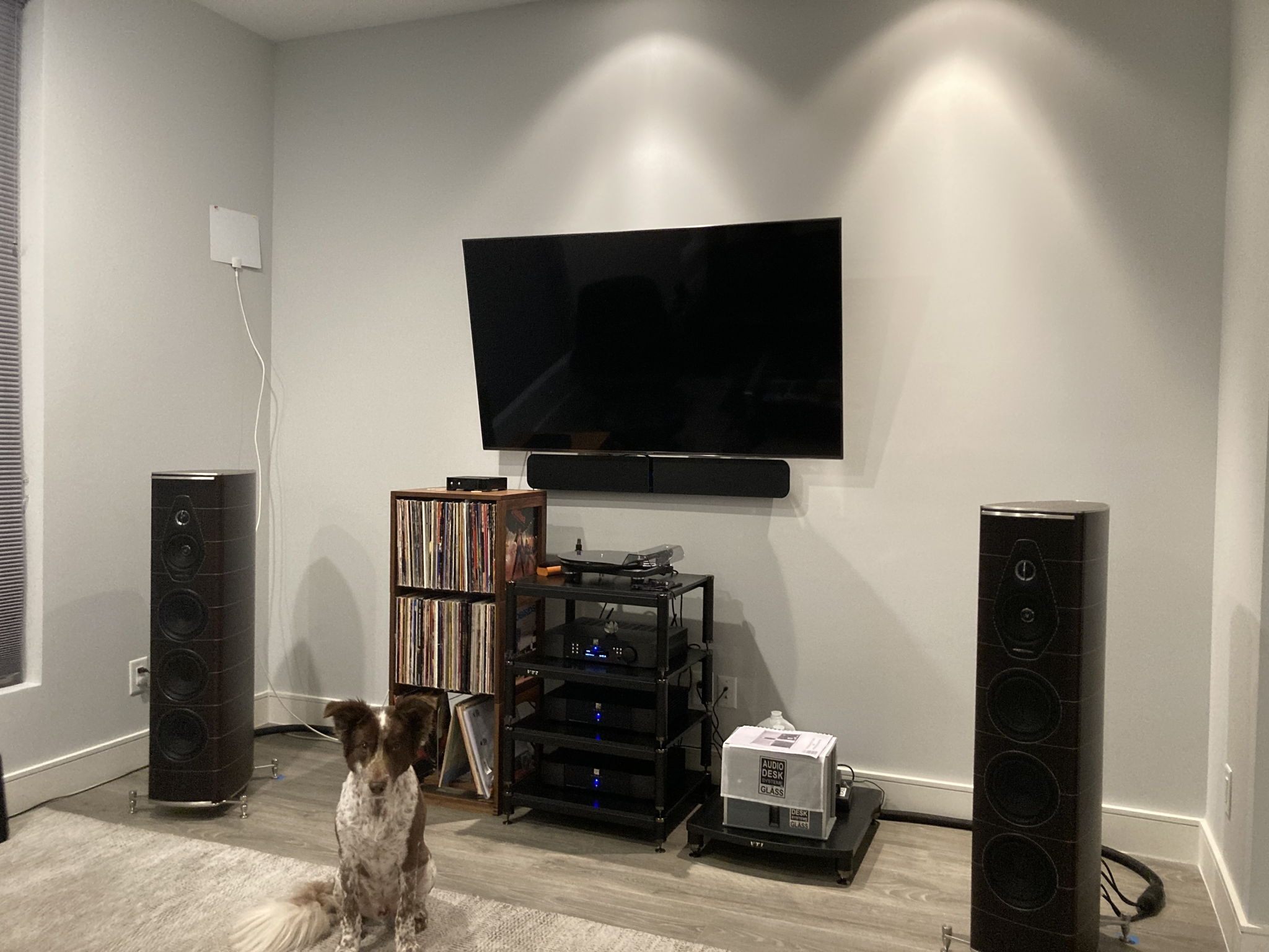 My listening buddy posing in the living room.