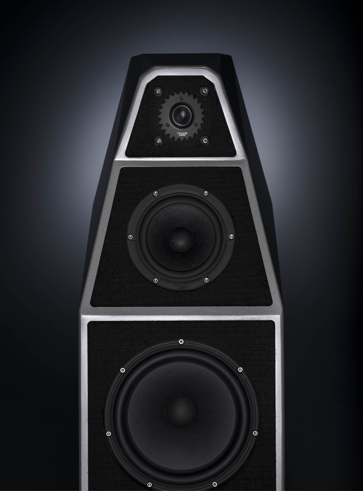 Wilson Audio Certified Authentic Never Titled Yvette Fl... 6