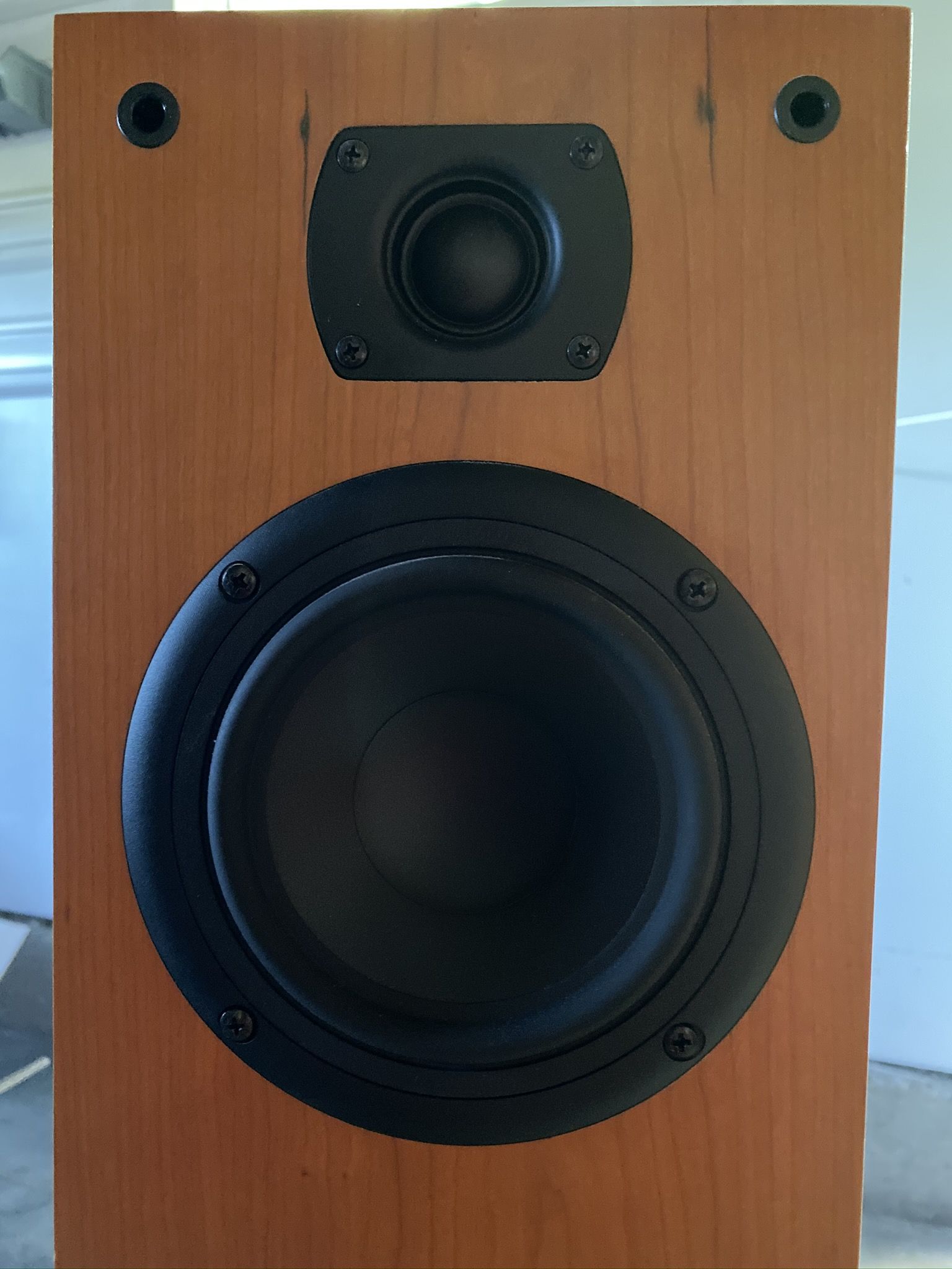 Close up of front of speaker